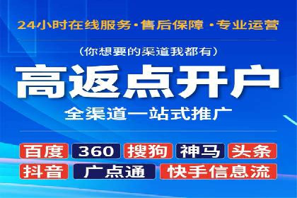 成功SEM服务案例：优化广告投放